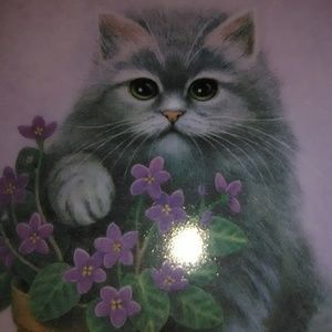 Meet your Posher, Debra